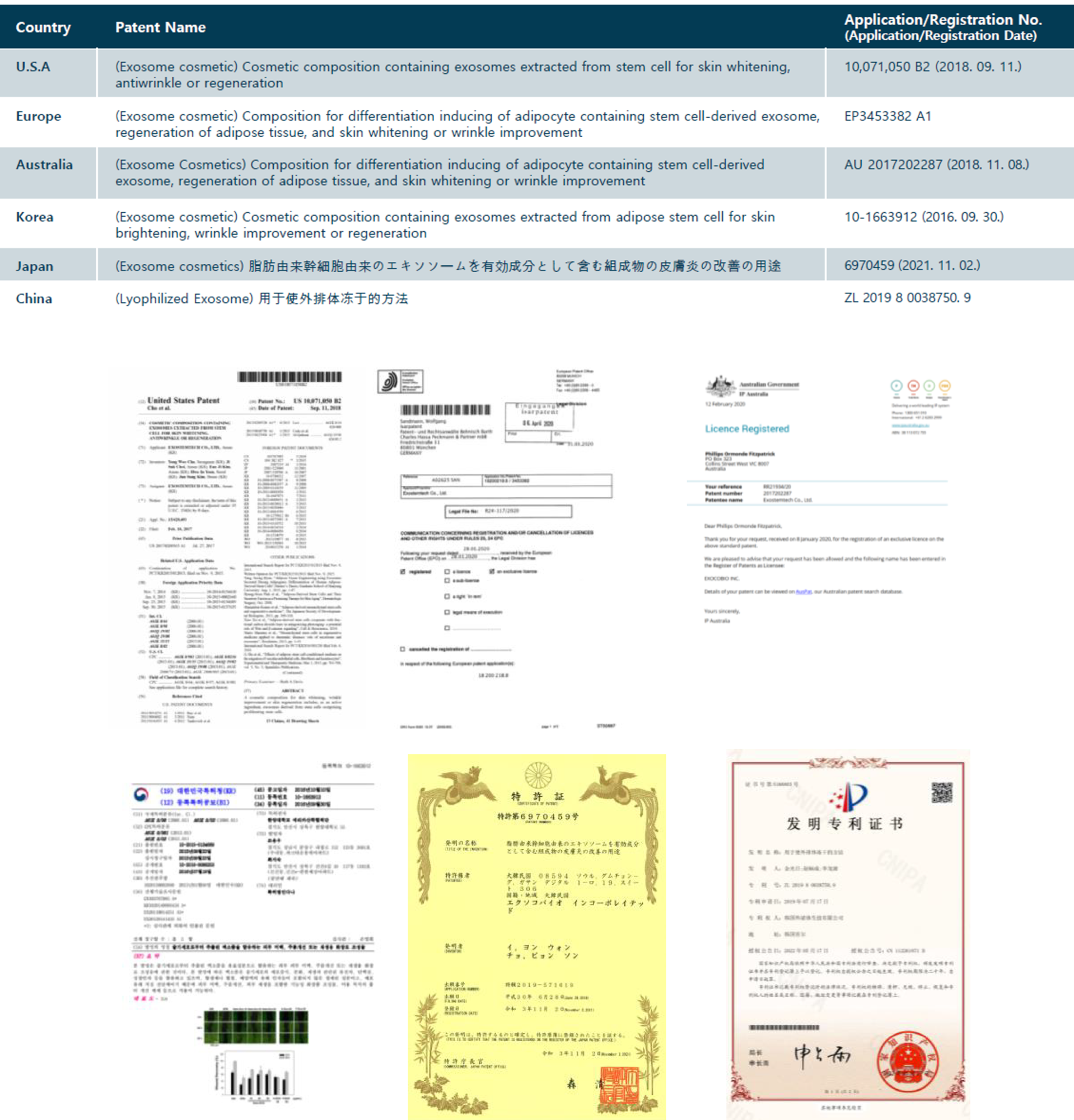 ASCEplus_魔泌_外泌體_專利_美國_日本_韓國_中國_多國_國際專利_認證