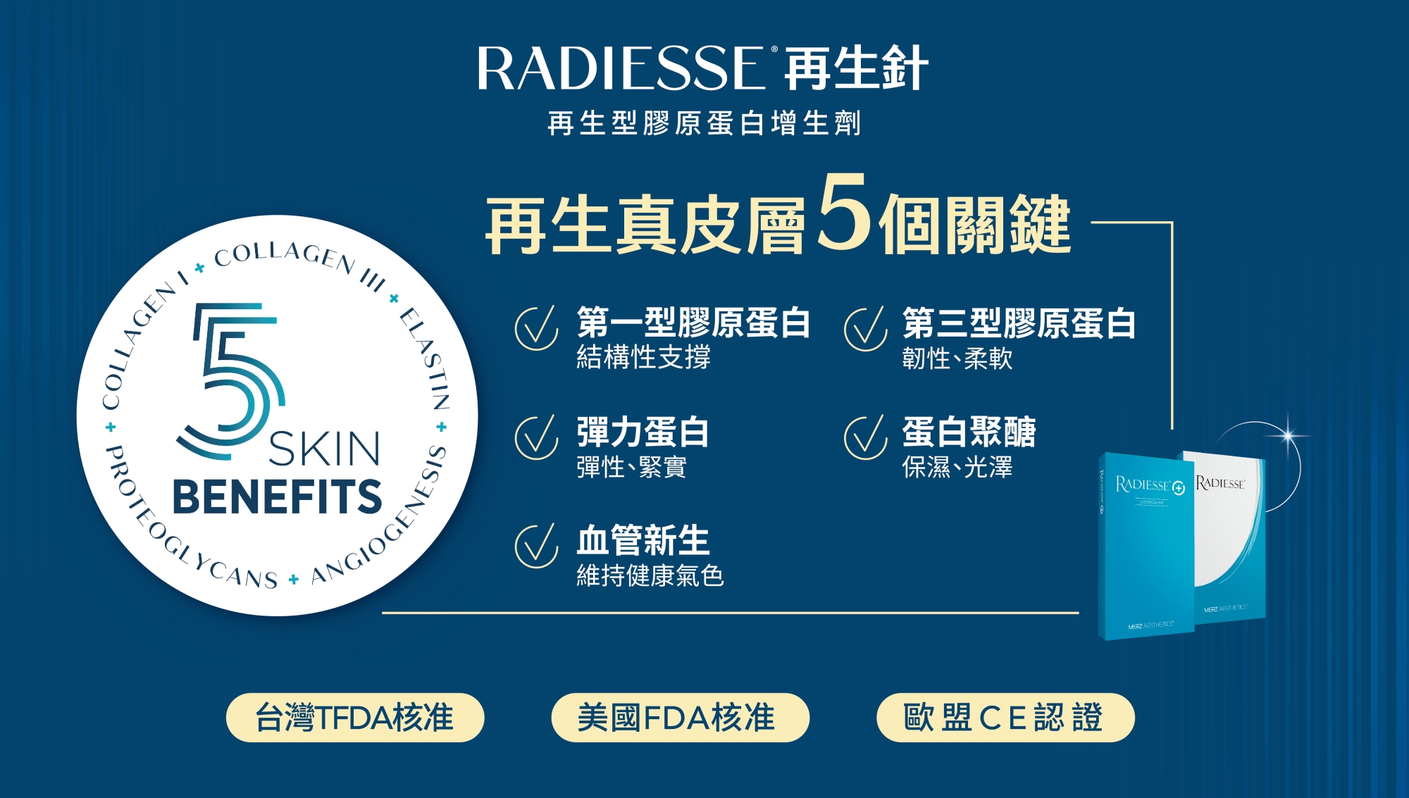 RDS_Radiesse_晶亮瓷_微晶瓷_再生針_五大關鍵_第一型膠原蛋白_提供支撐_第三型膠原蛋白_提供柔軟_彈力蛋白_賦予彈性_蛋白聚醣_保濕有光澤_血管新生_維持健康好氣色