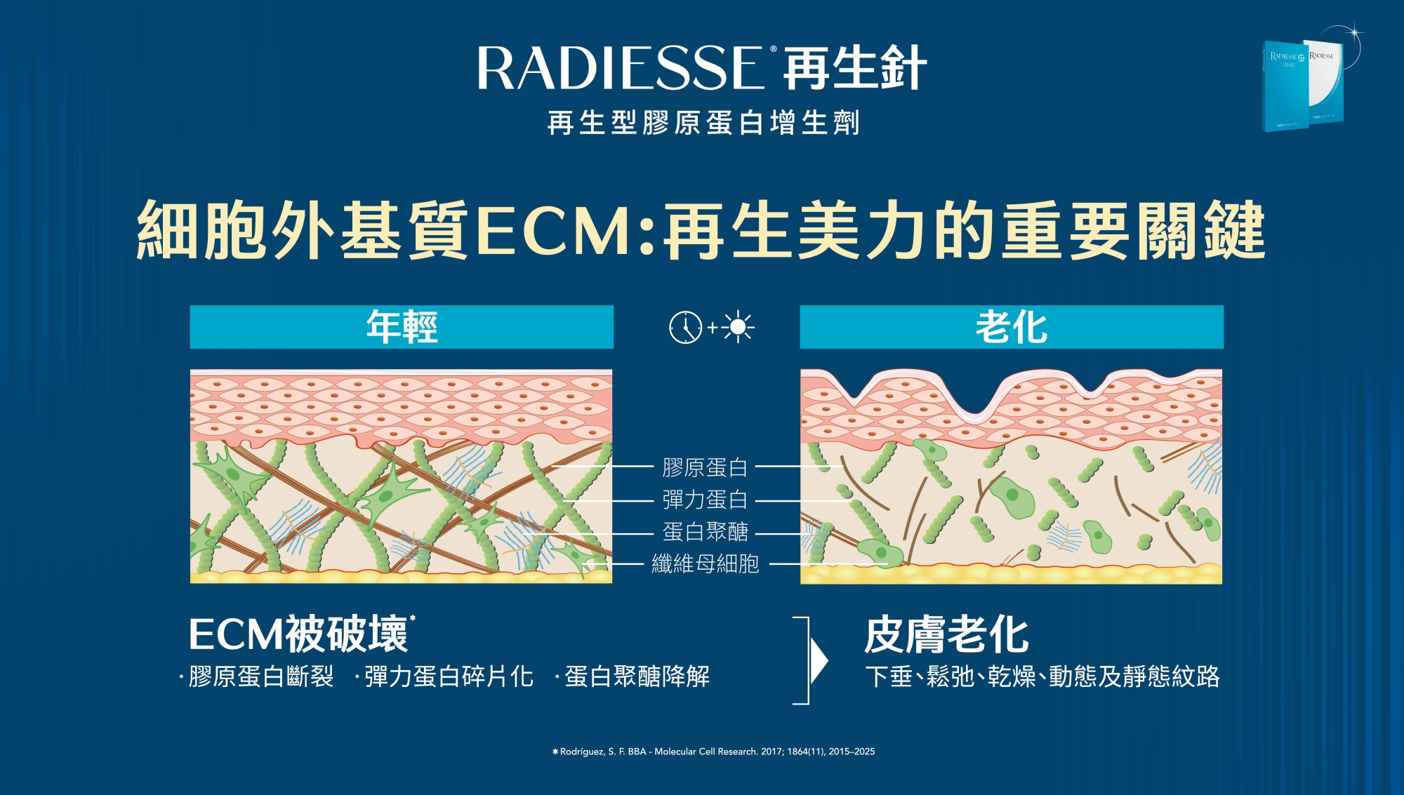 RDS_Radiesse_晶亮瓷_微晶瓷_再生針_膠原新生_彈力支撐_輪廓拉提_元晨診所